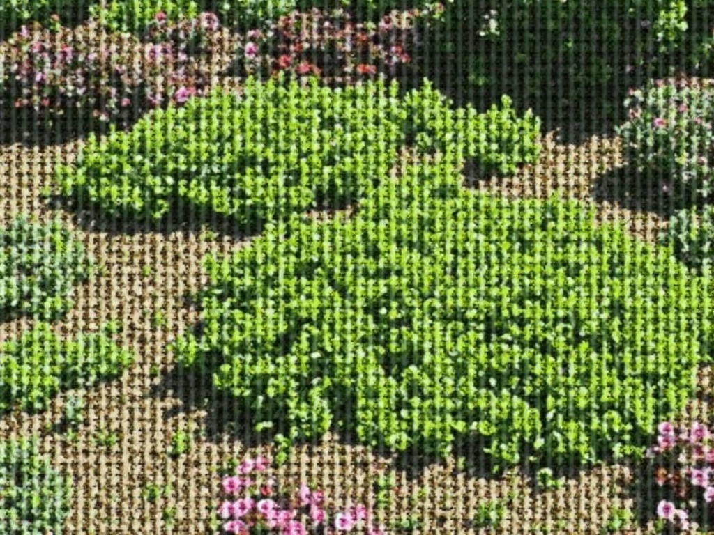 Garden Bed Care Near Courtice